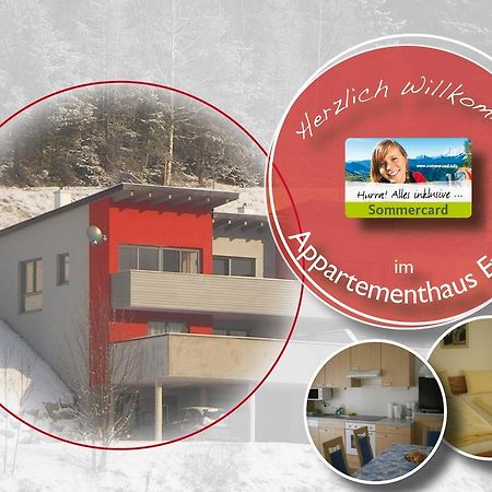Appartementhaus Evelyn Schladming Extérieur photo